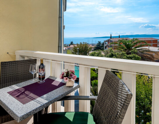 Single-room apartment for 2 persons