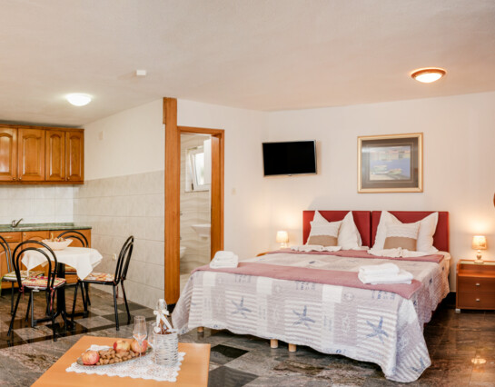 Single-room apartment for 2-3 persons